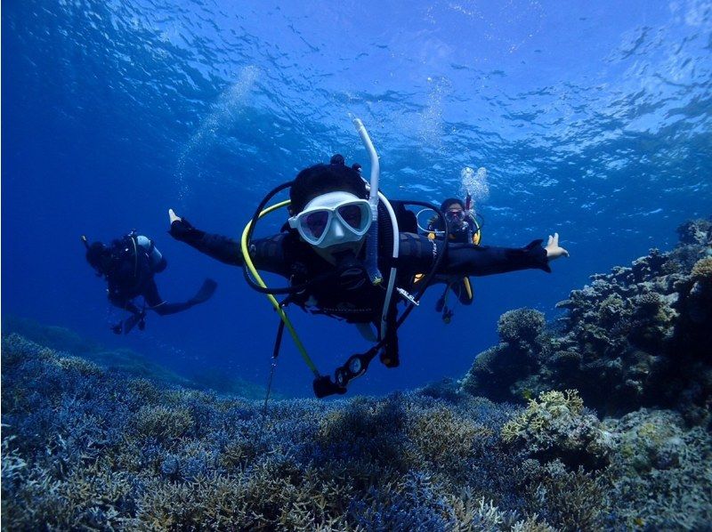 『中・上級者向け。2ボートダイビング』の紹介画像