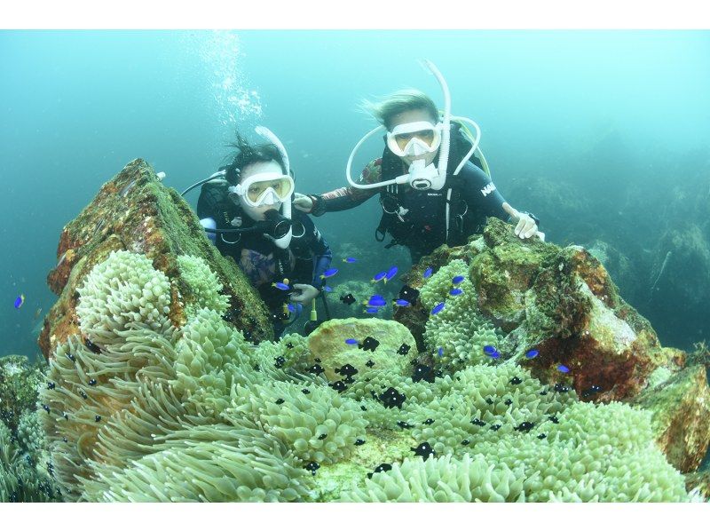 『中・上級者向け。2ボートダイビング』の紹介画像