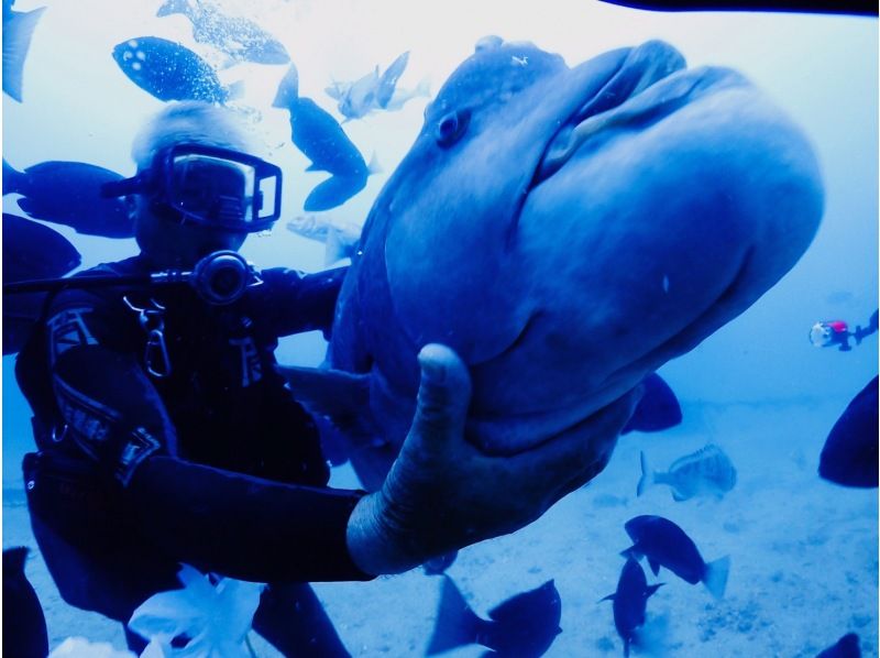 『中・上級者向け。2ボートダイビング』の紹介画像