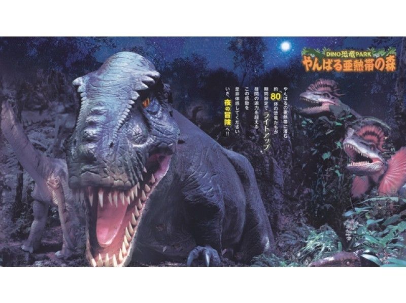 【夜の沖縄美ら海水族館へ入場】ナイトアクアリウム&夜のDINO恐竜PARKなどを巡る沖縄本島おすすめバスツアー