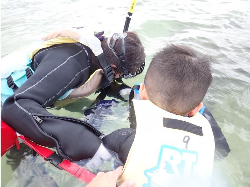 【 石垣島 】在Maibara海灘浮潛之旅！海灘入口處有許多珊瑚礁和生物！尼莫也可以很快見面の紹介画像