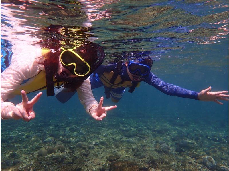 【 石垣島 】在Maibara海灘浮潛之旅！海灘入口處有許多珊瑚礁和生物！尼莫也可以很快見面の紹介画像