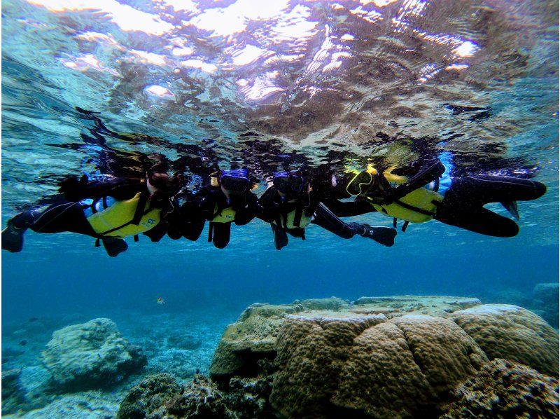 【 石垣島 】在Maibara海灘浮潛之旅！海灘入口處有許多珊瑚礁和生物！尼莫也可以很快見面の紹介画像