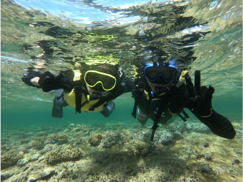 【 石垣島 】在Maibara海灘浮潛之旅！海灘入口處有許多珊瑚礁和生物！尼莫也可以很快見面の紹介画像