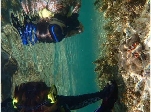 石垣島 米原ビーチでスノーケルツアー 4歳 Ok エリアを把握した地元出身女性ガイドがご案内 少人数制 温水シャワーあり 水中写真プレゼント アクティビティジャパン