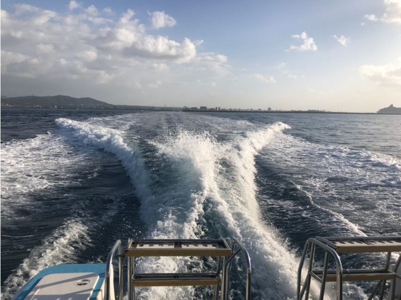 【渋谷から土、日曜日、無料送迎/ダイナミックな地形に驚愕】 ボートダイビングなど更に遊べるアドバンス取得プラン(最大潜水深度30m)の紹介画像