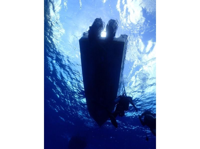 【渋谷から土、日曜日、無料送迎/ダイナミックな地形に驚愕】 ボートダイビングなど更に遊べるアドバンス取得プラン(最大潜水深度30m)の紹介画像