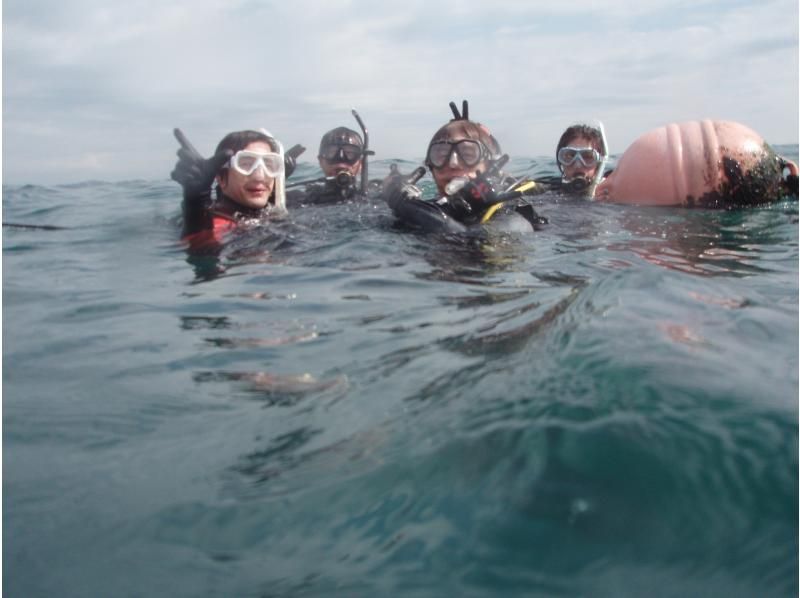 『ドライスーツ無料！渋谷から木、金、土曜日/送迎無料』体験ダイビングの紹介画像