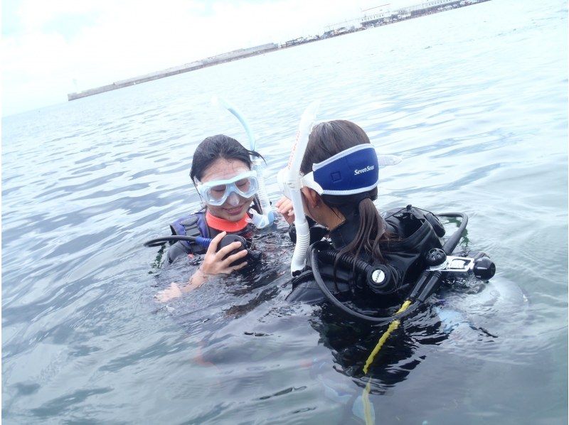 【來自東京/ Jogashima /】NAUI體驗潛水の紹介画像