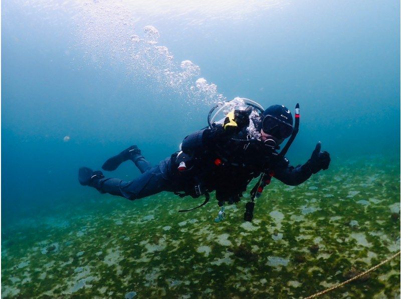 『ドライスーツ無料！渋谷から木、金、土曜日/送迎無料』体験ダイビングの紹介画像