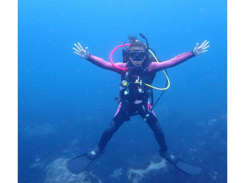 『ドライスーツ無料！渋谷から木、金、土曜日/送迎無料』体験ダイビングの紹介画像