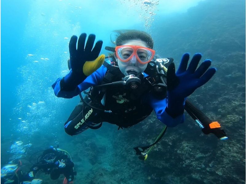 『ドライスーツ無料！渋谷から木、金、土曜日/送迎無料』体験ダイビングの紹介画像