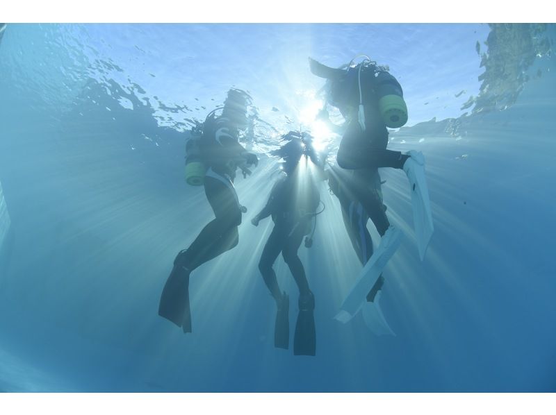 [东京出发，Jogashima] NAUI潜水员C级卡获取 - （3天）の紹介画像