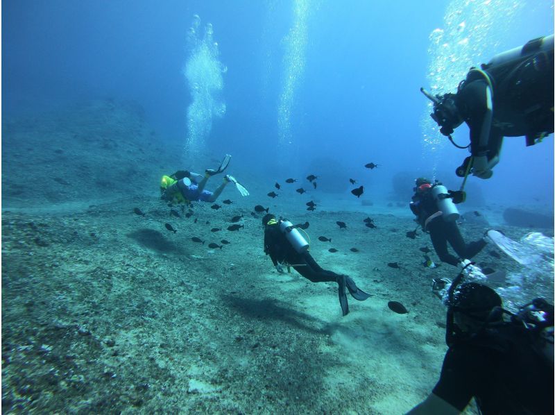 【ドライスーツ無料！渋谷から木、金、土曜日/送迎無料】2.5日でオープンウォーターダイバーコース取得プラン(最大潜水深度18m)の紹介画像