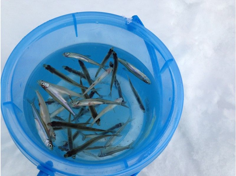 【 ซัปโปโร การโอนรถจากทางเข้าสถานีเหนือรวมถึง "★ Chill ICE Fishing" ใหม่! ทัวร์นาเมนต์สไตล์ ตกปลาเยือกแข็ง(Smelt Fishing)の紹介画像