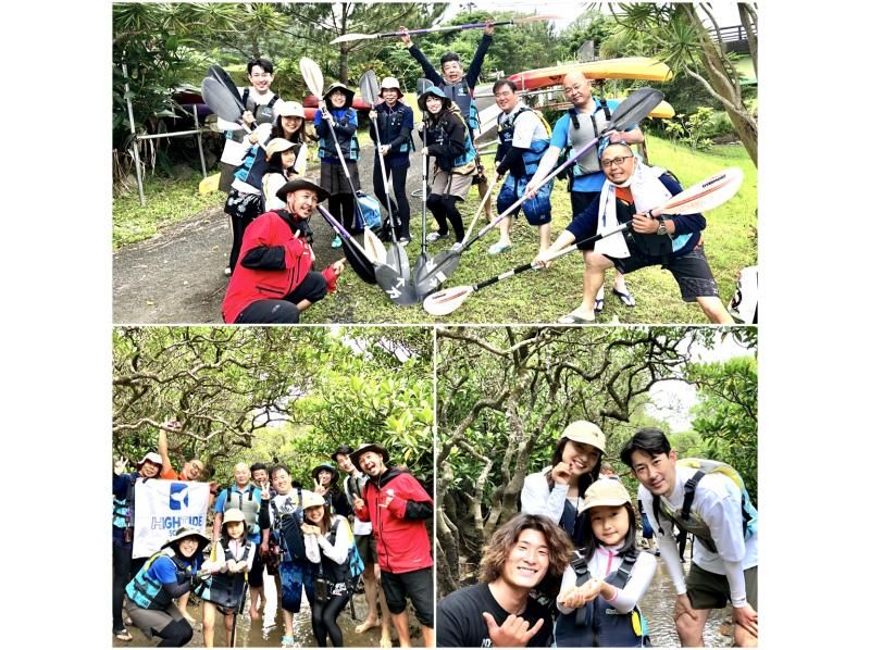[Kagoshima / Amami] [World Natural Heritage / Amami Popular NO1 / Mangrove Canoe / Kinsaku Primitive Forest Walk & Modama Waterfall 1 Day Tour! Small group, with chicken rice lunch] Pick-up availableの紹介画像