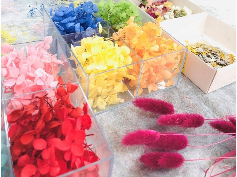 [宫城县/仙台市]让我们制作一个色彩缤纷的植物标本室！の紹介画像