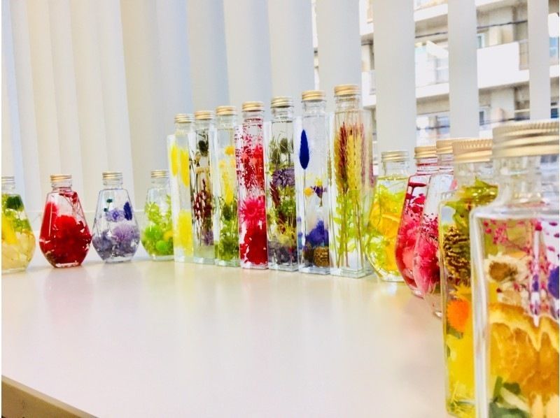 [宫城县/仙台市]让我们制作一个色彩缤纷的植物标本室！の紹介画像