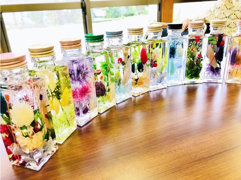 [宫城县/仙台市]让我们制作一个色彩缤纷的植物标本室！の紹介画像