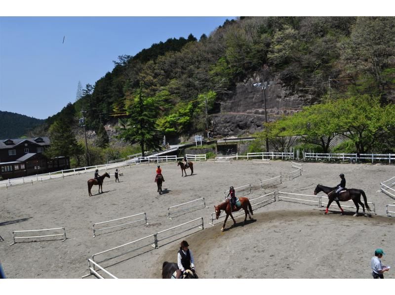 【三重・伊賀・青山・名張】乗馬を趣味にしたい方！基礎から学ぶの紹介画像