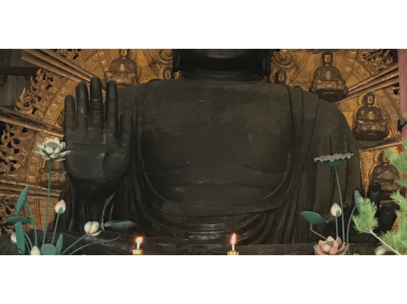 【Nara】 Nara & The Secret Shrine Of Omiwa Tourの紹介画像