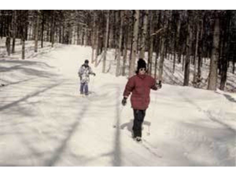 [Nagano/ Omachi City Cross-country skiing] Enjoy the tranquility of the forest that can only be experienced in winter. Walking ski one day courseの紹介画像