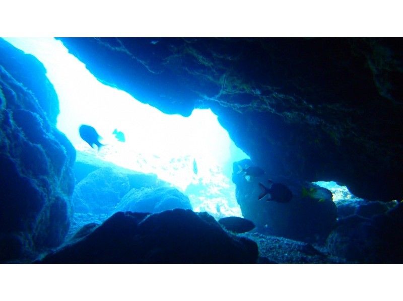 【 青の洞窟  ＆ サンゴ礁　ボートで行く体験ダイビング 】 恩納村バス無料送迎あり！　スプリングセール実施中の紹介画像