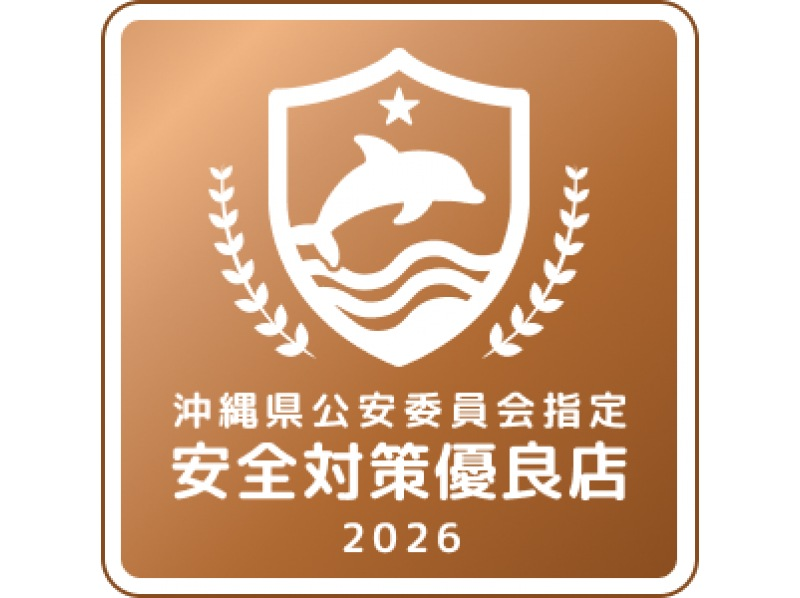 【青の洞窟シュノーケル】沖縄県公安委員会指定⭐️安全対策優良店⭐️青の洞窟専門店でワンランク上の体験を✨バスタオル無料❤️駐車場完備‼️の紹介画像