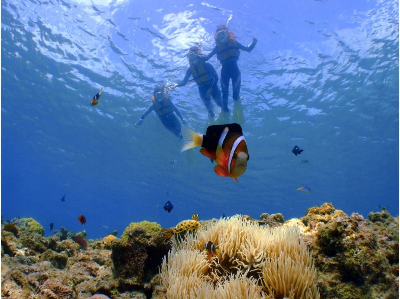 【青の洞窟シュノーケル】沖縄県公安委員会指定⭐️安全対策優良店⭐️青の洞窟専門店でワンランク上の体験を✨バスタオル無料❤️駐車場完備‼️の紹介画像