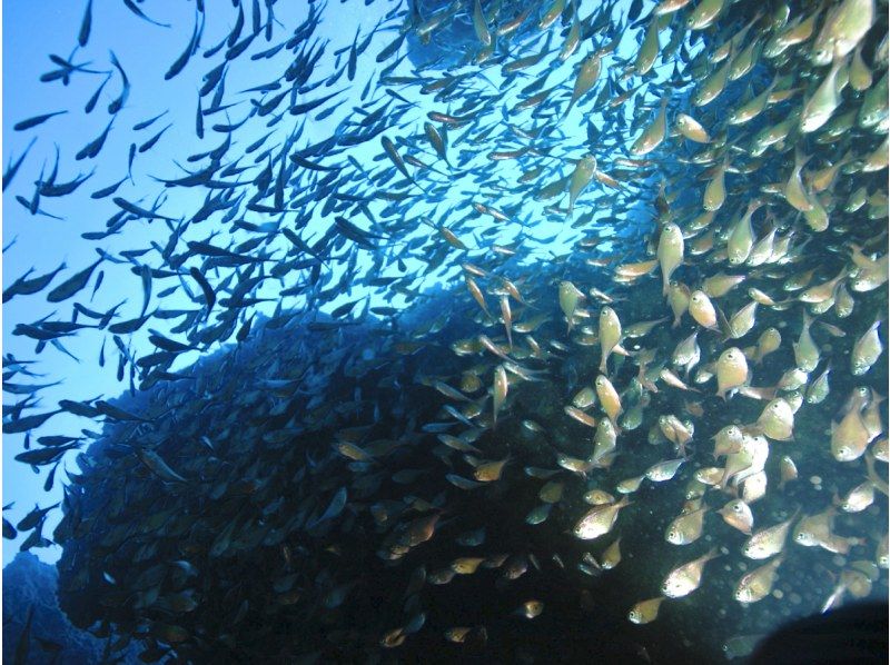 【青の洞窟シュノーケル】沖縄県公安委員会指定⭐️安全対策優良店⭐️青の洞窟専門店でワンランク上の体験を✨バスタオル無料❤️駐車場完備‼️の紹介画像