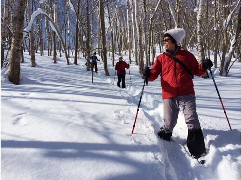 【北海道・札幌】札幌市内から無料送迎！「スノーシューハイキング」完全プライベートツアーの紹介画像