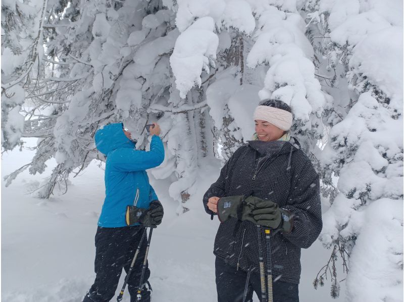【北海道・札幌】札幌市内から無料送迎！「スノーシューハイキング」完全プライベートツアーの紹介画像