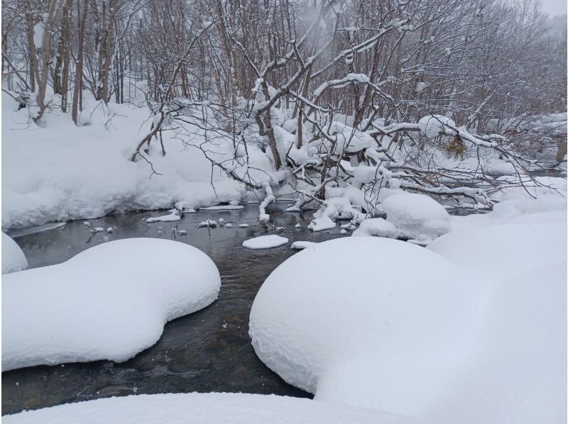 【北海道・札幌】札幌市内から無料送迎！「スノーシューハイキング」完全プライベートツアーの紹介画像