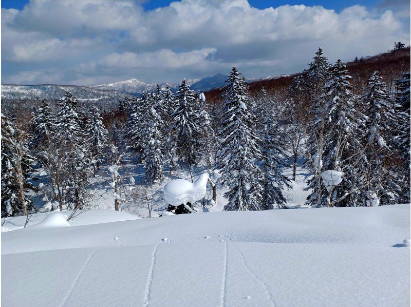 【北海道・札幌】札幌市内から無料送迎！「スノーシューハイキング」完全プライベートツアーの紹介画像