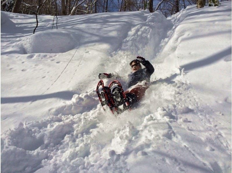 【北海道・札幌】札幌市内から無料送迎！「スノーシューハイキング」完全プライベートツアーの紹介画像