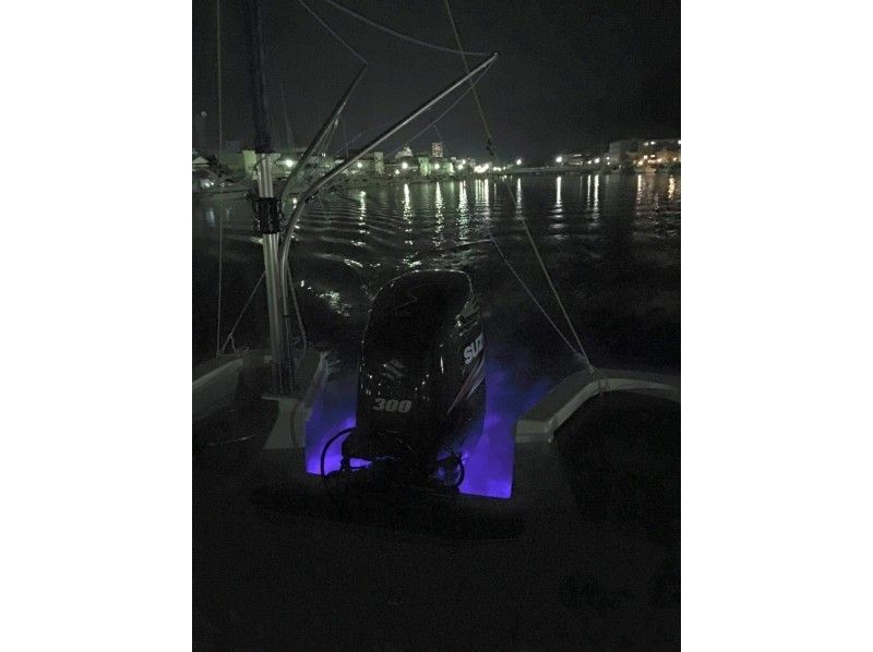 [ 静冈 -下田]暑假有限夜间巡游船 （夜光游）の紹介画像