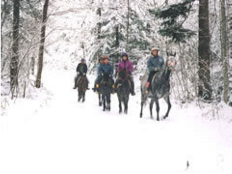 [Hokkaido Chitose] experience for people! Horse trekking (60-minute course)の紹介画像