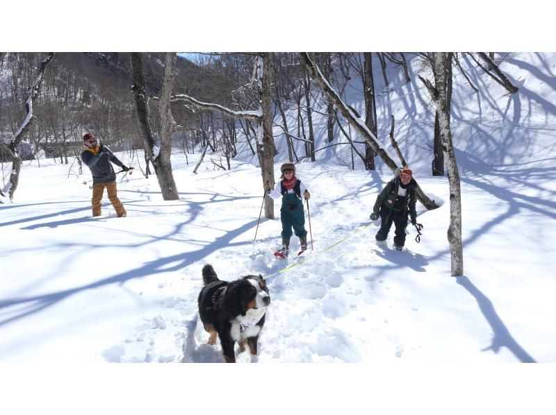 [從IC出發，只需5分鐘]在群馬水上的森林裡玩雪！雪地徒步半日遊の紹介画像