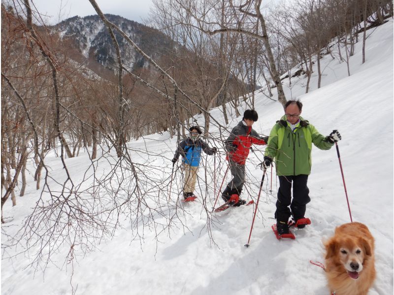 [從IC出發，只需5分鐘]在群馬水上的森林裡玩雪！雪地徒步半日遊の紹介画像