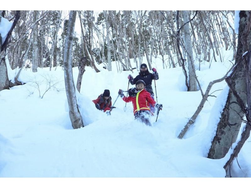 [5 นาทีจาก IC] เล่นหิมะในป่ากุมมะMinakami! ทัวร์เดินป่าหิมะครึ่งวันの紹介画像
