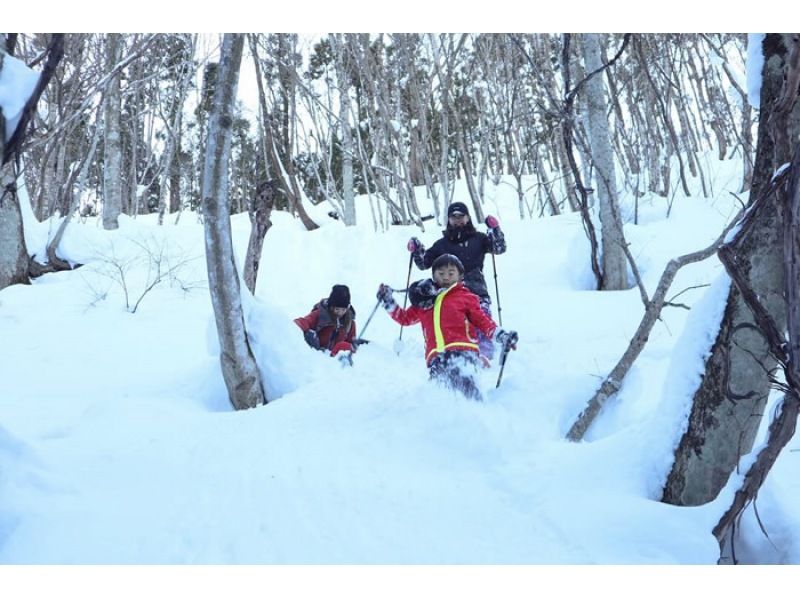 【群馬・みなかみ】ワンちゃんOK！日本の美しい雪景色を楽しむスノートレッキング半日ツアーの紹介画像