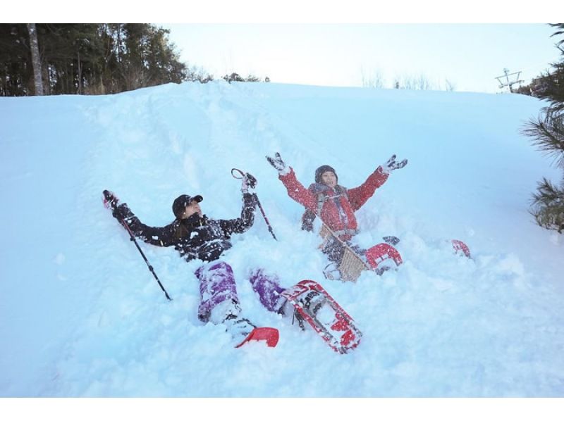 【群馬・みなかみ】ワンちゃんOK！雪で遊びまくるスノーシュートレッキング半日ツアーの紹介画像