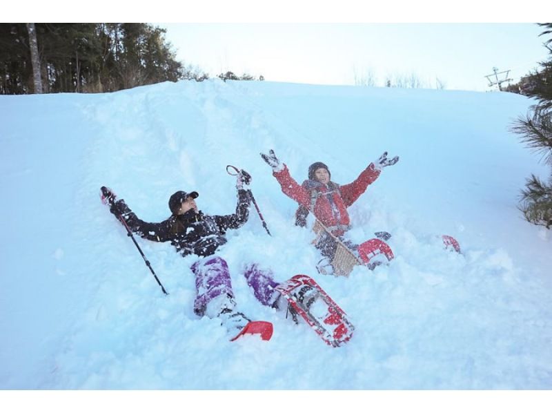 【群馬・みなかみ】ワンちゃんOK！日本の美しい雪景色を楽しむスノートレッキング半日ツアーの紹介画像