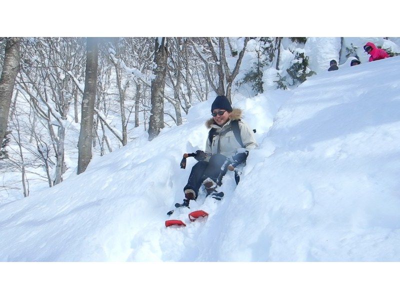 [從IC出發，只需5分鐘]在群馬水上的森林裡玩雪！雪地徒步半日遊の紹介画像