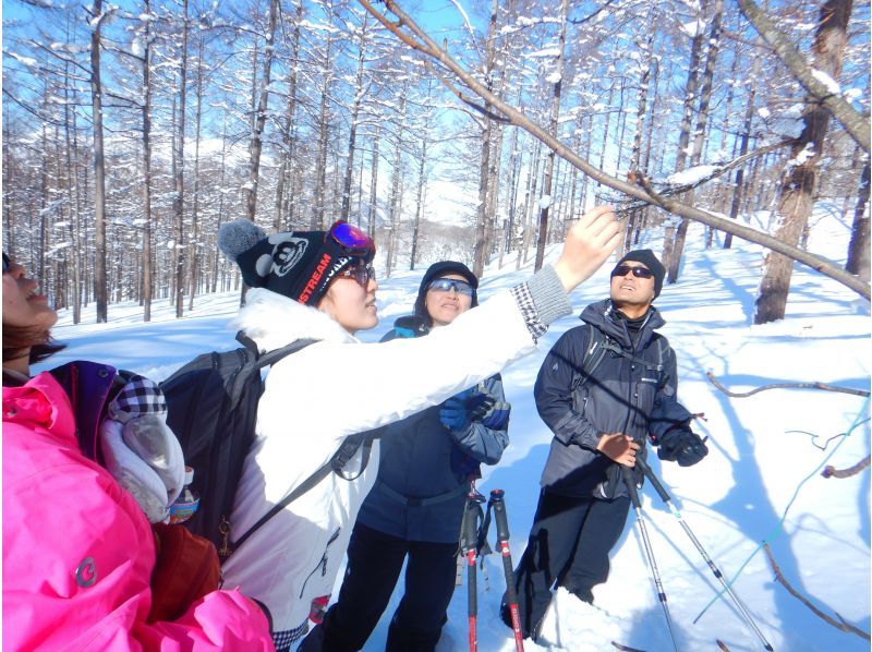 [從IC出發，只需5分鐘]在群馬水上的森林裡玩雪！雪地徒步半日遊の紹介画像