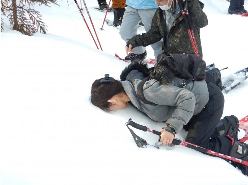 【群馬・みなかみ】ワンちゃんOK！日本の美しい雪景色を楽しむスノートレッキング半日ツアーの紹介画像