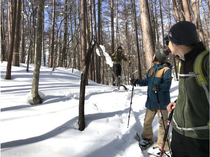 [從IC出發，只需5分鐘]在群馬水上的森林裡玩雪！雪地徒步半日遊の紹介画像