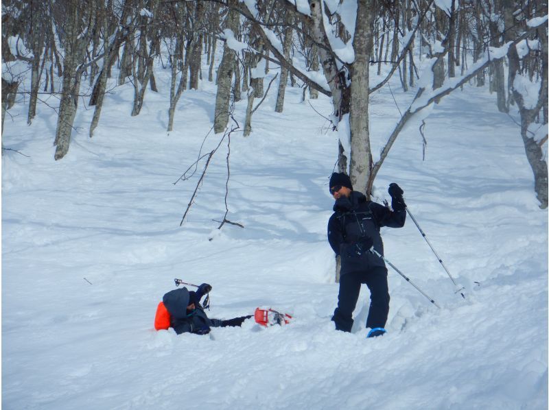 [從IC出發，只需5分鐘]在群馬水上的森林裡玩雪！雪地徒步半日遊の紹介画像
