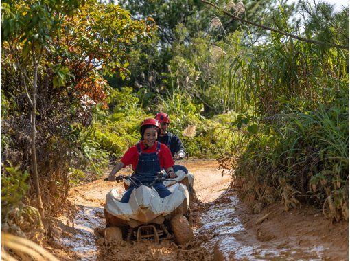 Northern Okinawa Yambaru Higashi Village Buggy Adventure 22 Broadcast On New Year S Day Popular Program 4 Years Old Participation Is Possible Forest View Farm Course Matayoshi Coffee Farm Activityjapan