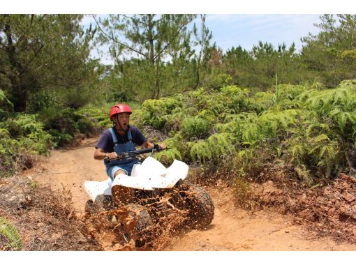 Northern Okinawa Yambaru Higashi Village Buggy Adventure 22 Broadcast On New Year S Day Popular Program 4 Years Old Participation Is Possible Forest View Farm Course Matayoshi Coffee Farm Activityjapan